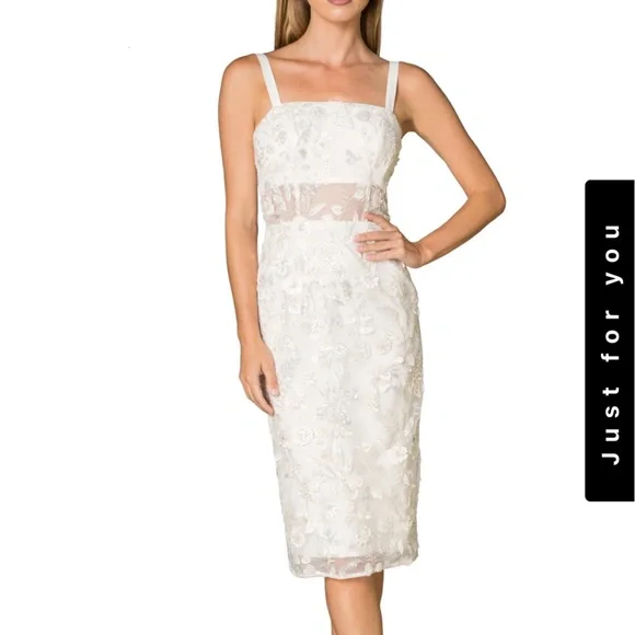 White Dress- Dress the population- white sheer fit and midi dress